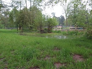 Wasser im Teich und im Park