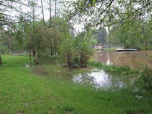 Wasser im Teich und im Park