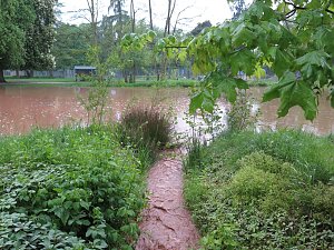 Wasser im Teich und im Park