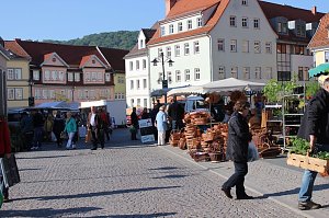 Pflanzen &uuml;ber Pflanzen