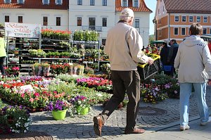 Pflanzen &uuml;ber Pflanzen