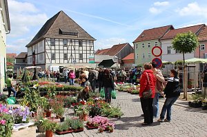 Gesund, fair und nachhaltig leben