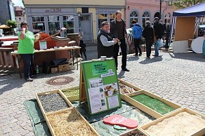Gesund, fair und nachhaltig leben