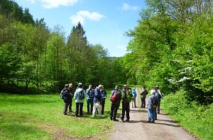 Beratung auf dem Grund des Unterbeckens