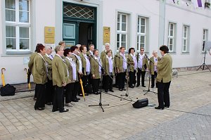 Fliederkrone gesetzt