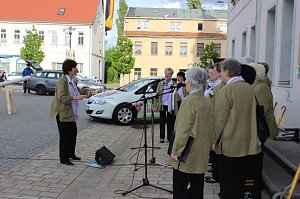 Fliederkrone gesetzt