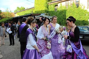Fliederkrone gesetzt