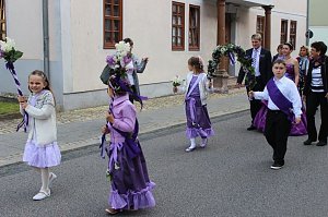 Fliederkrone gesetzt