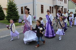 Fliederkrone gesetzt