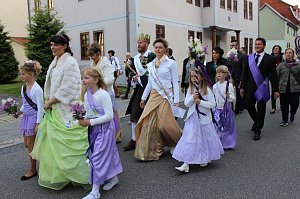 Fliederkrone gesetzt