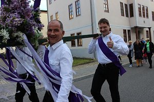 Fliederkrone gesetzt