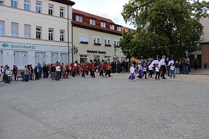 Fliederkrone gesetzt