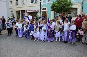 Fliederkrone gesetzt