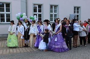 Fliederkrone gesetzt