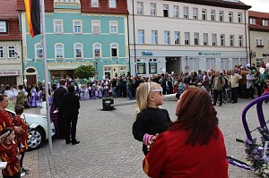 Fliederkrone gesetzt