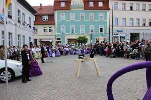 Fliederkrone gesetzt