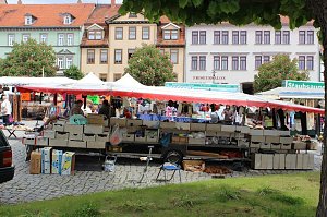 Fliederfest mit Markt