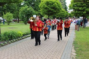 Flieder gepflanzt
