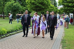 Flieder gepflanzt