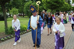 Flieder gepflanzt