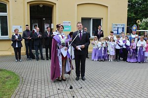 Flieder gepflanzt
