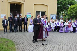 Flieder gepflanzt