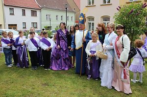 Flieder gepflanzt