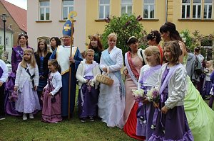 Flieder gepflanzt