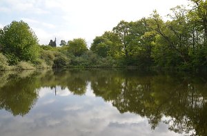 Fr&uuml;hjahrsputz am R&ouml;dersee