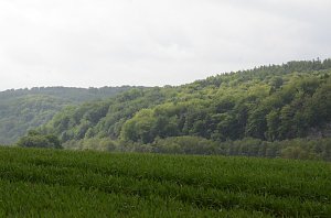 Fr&uuml;hjahrsputz am R&ouml;dersee