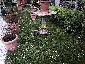 Unterwegs in Bad Sachsa