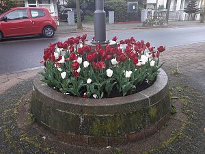 Unterwegs in Bad Sachsa