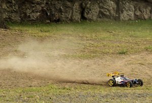 44. Roland-Rallye