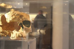 Museumstag in der Flohburg