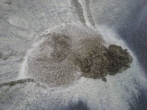 Einsatz auf der Bundesstra&szlig;e