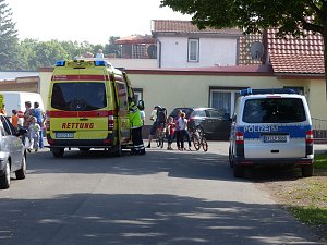Feuer in der Vogelsiedlung