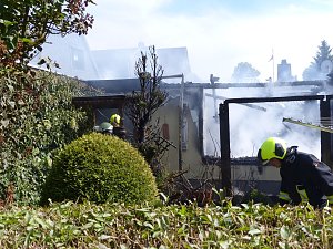 Feuer in der Vogelsiedlung