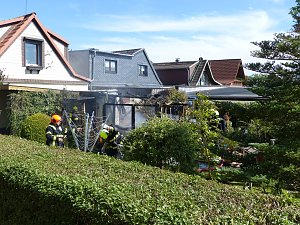 Feuer in der Vogelsiedlung