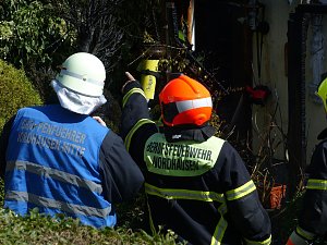 Feuer in der Vogelsiedlung
