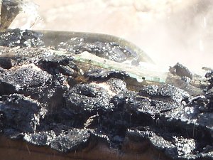 Feuer in der Vogelsiedlung