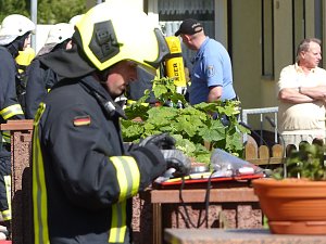 Feuer in der Vogelsiedlung