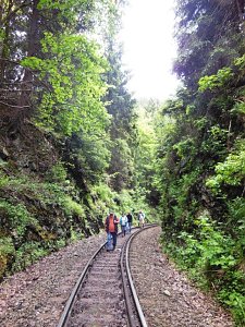Unterwegs im S&uuml;dharz