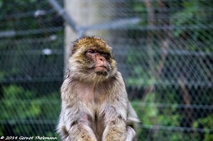 Besuch auf dem Strau&szlig;berg