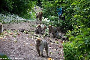 Besuch auf dem Strau&szlig;berg
