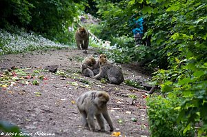 Besuch auf dem Strau&szlig;berg