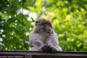 Besuch auf dem Strau&szlig;berg