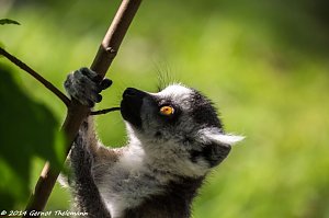 Besuch auf dem Strau&szlig;berg
