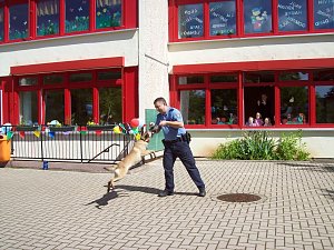 Hundestaffel zu Besuch in Niedersachswerfen