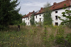 Wildnis pur. Eine ideale Kulisse f&uuml;r einen Film, in dem eine R&auml;uberbande�ihr�Unwesen treibt. Einst wohnten in der kleinen Wohnsiedlung Familien mit�ihren Kindern.