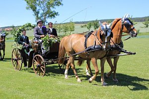 Laubk&ouml;nig gekr&ouml;nt